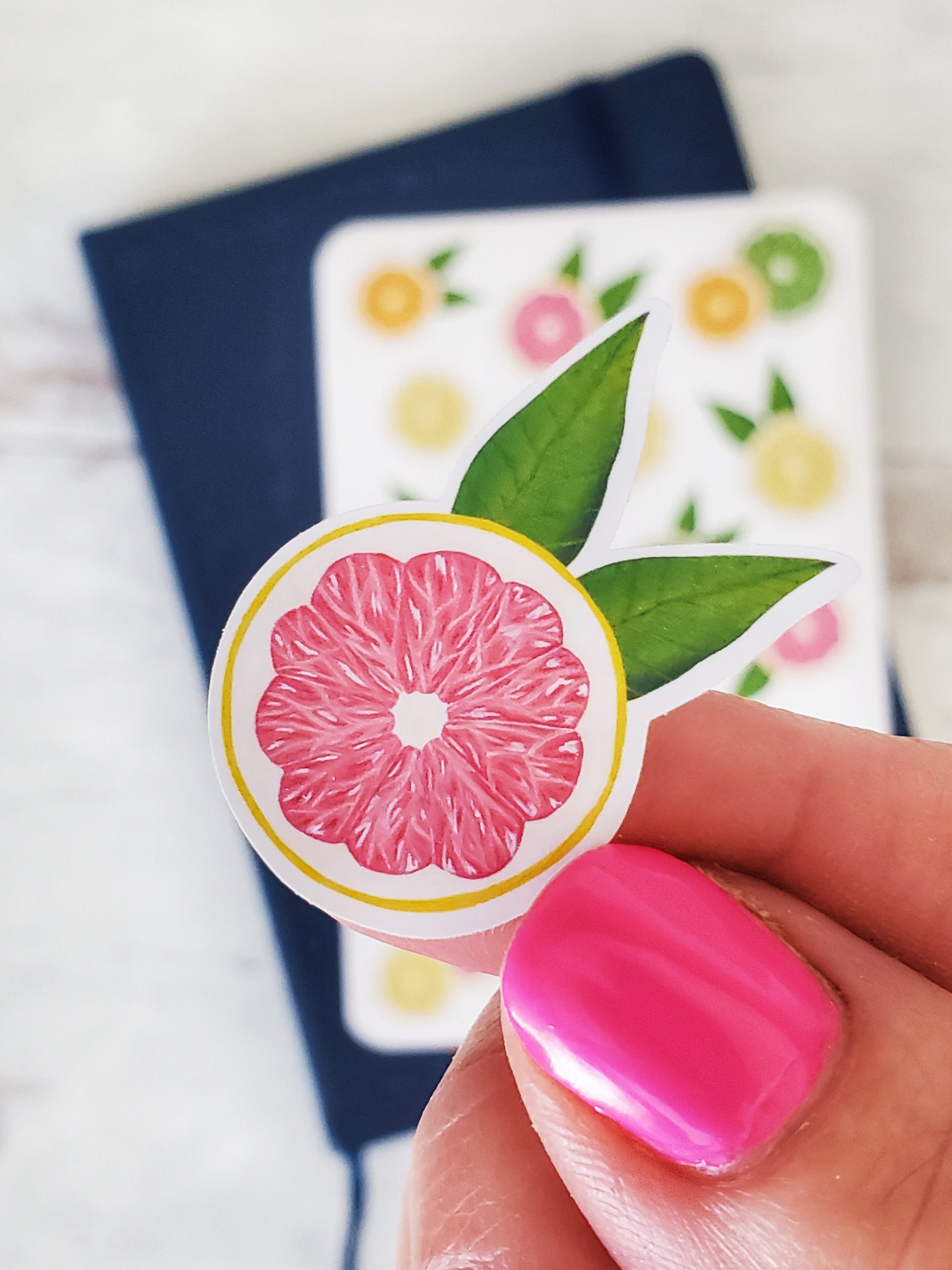 A close up of the details on the pink grapefruit sticker. The illustration style is bold and semi realistic.