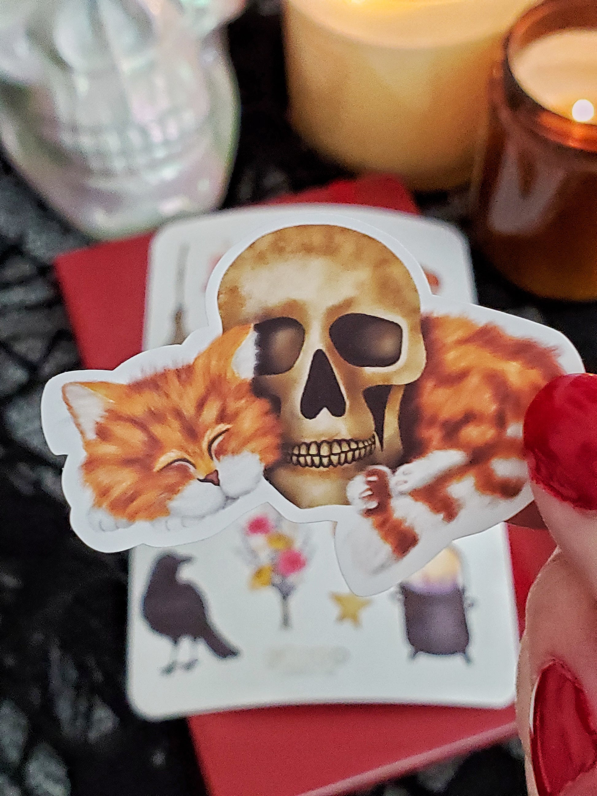 A close up of one of the stickers: an orange cat sleeping
 curled up around a human skull